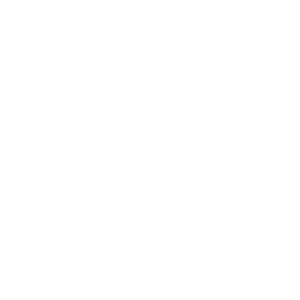 flute