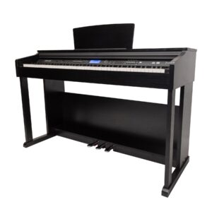 Crown A20 88-Key Touch Responsive Digital Piano