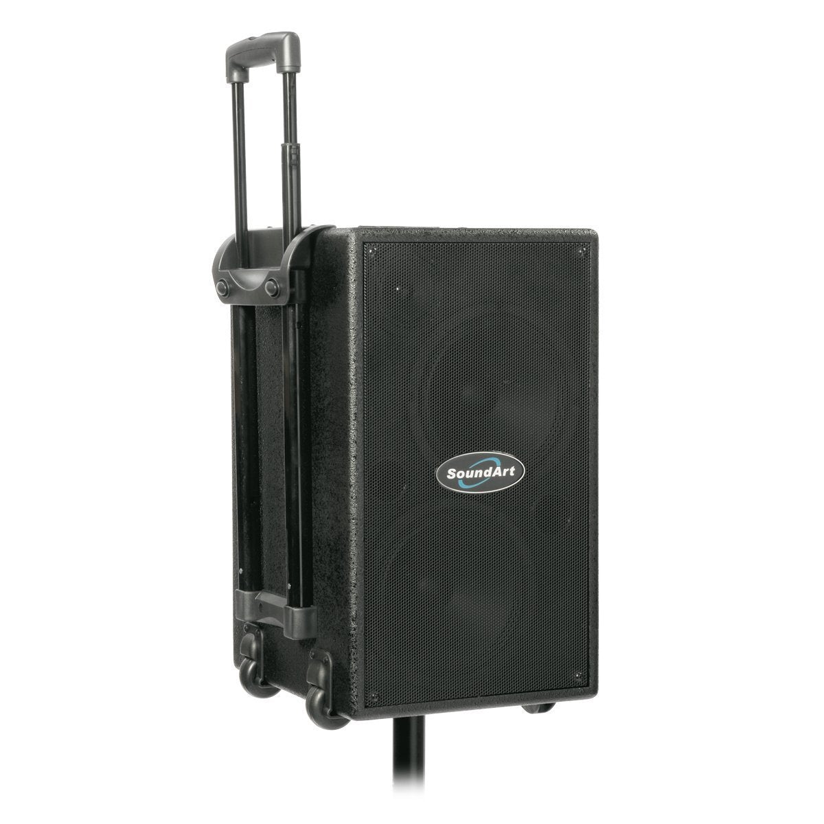 Soundart PW100EXT-SPK Extension Speaker for PW100-D/M units