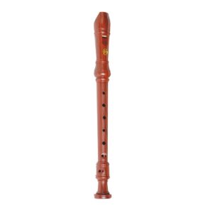 Steinhoff ‘Wood-Look’ Recorder for Kids with Cleaning Rod and Pouch