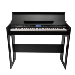 Crown CJDP 61-Key Touch Responsive Digital Piano (Black)