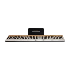 Crown Portable Magnetic Split Digital Piano