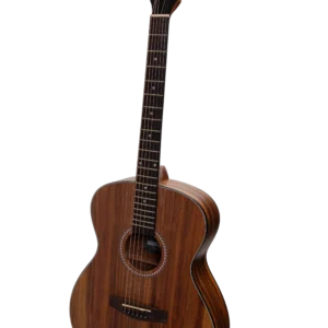 Martinez Acoustic-Electric Small Body Guitar (Rosewood)