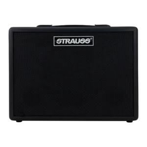 Strauss GN15 15 Watt Vintage Guitar Combo Amplifier (Black)