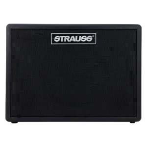 Strauss GN30 30 Watt Vintage Guitar Combo Amplifier (Black)